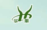 华鹏