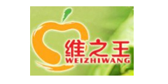 维之王WEIZHIWANG及图