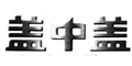 盖中盖