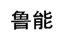 鲁能